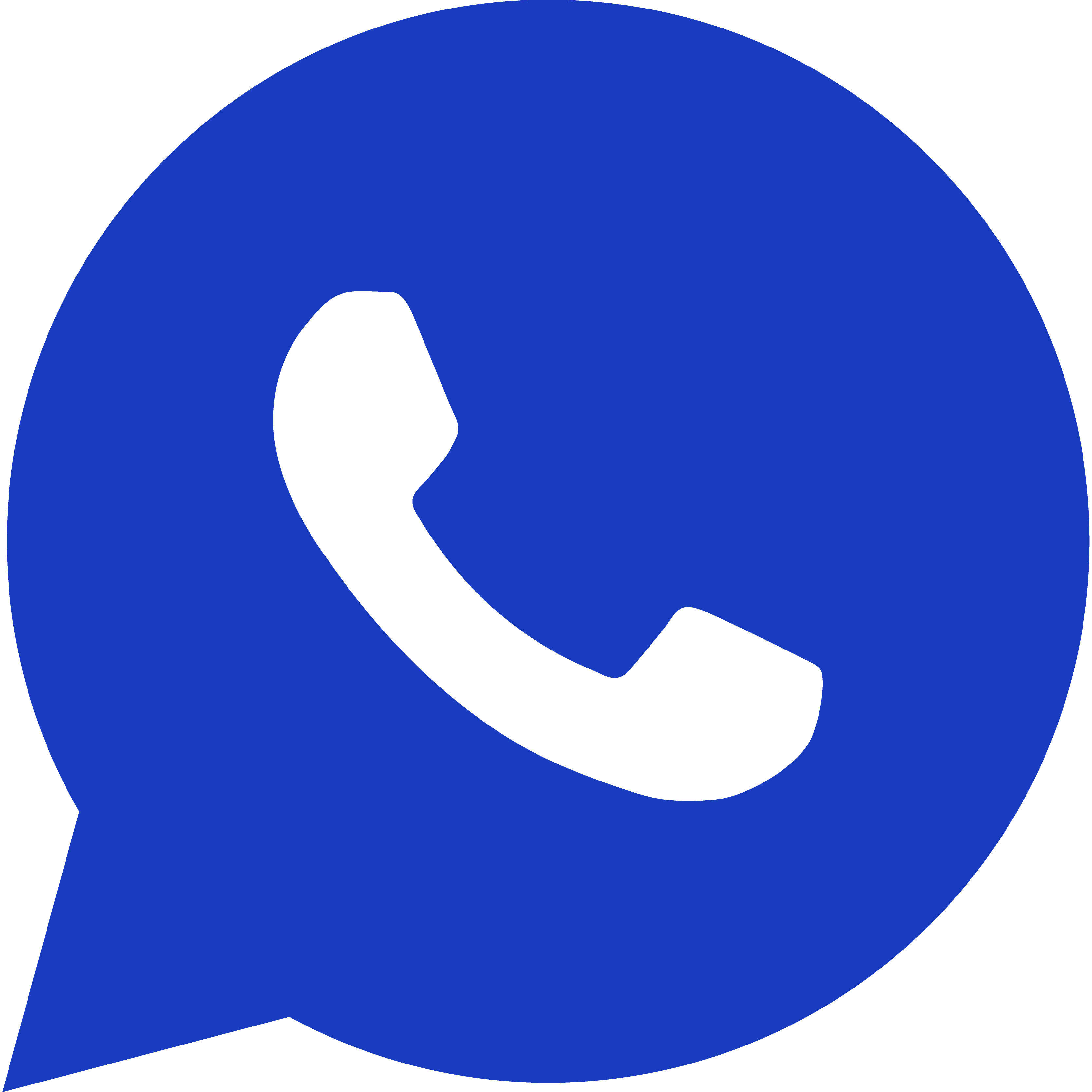 Whatsapp icon