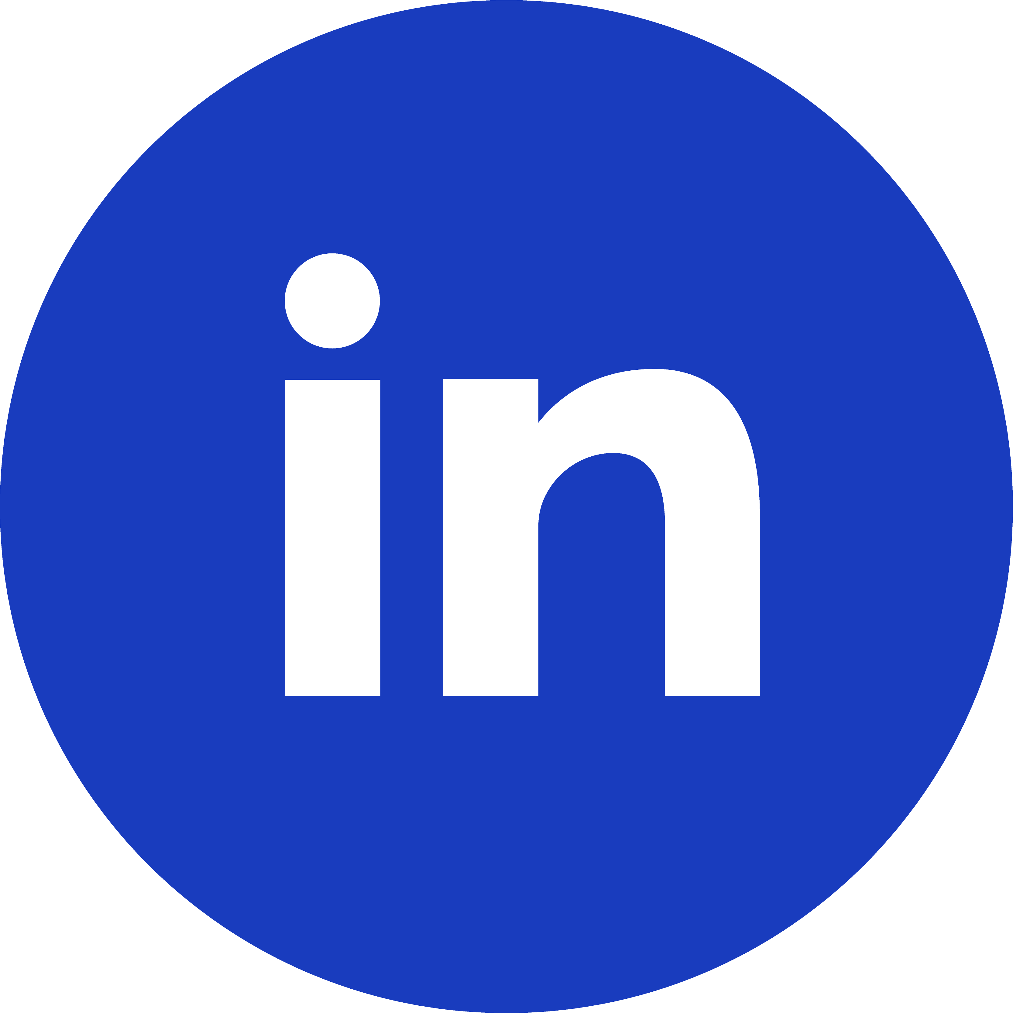 LinkedIn Icon